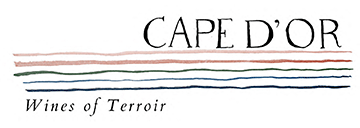 cape d'or wines
